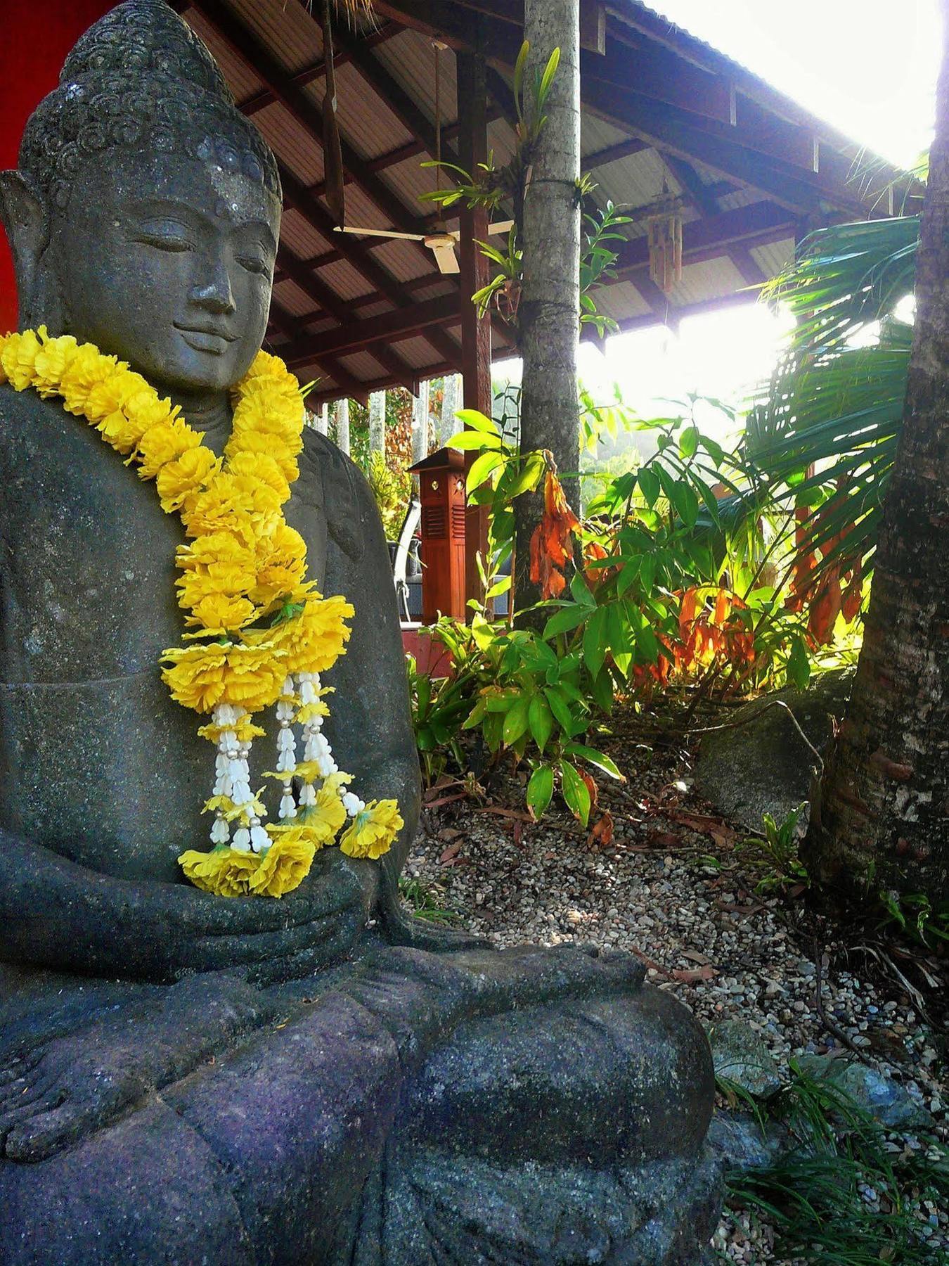 Mai Tai Resort Cassowary Ngoại thất bức ảnh